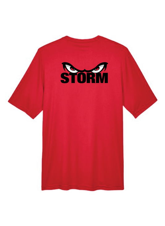 SS Storm Drifit Storm Baseball T-Shirt